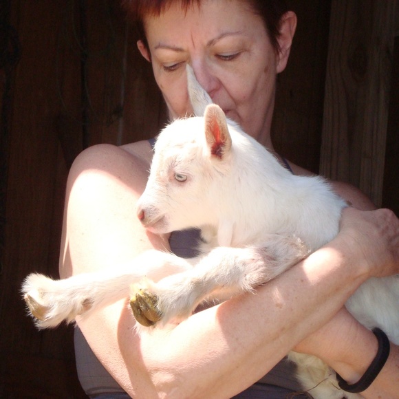 Meet your Posher, Max - Picture 3 of 3